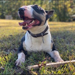 Meet your Posher, Christian